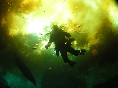 ginnie-springs61 ginnie-springs