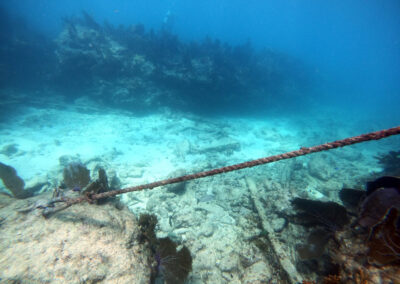 Molasses Reef rope to surface