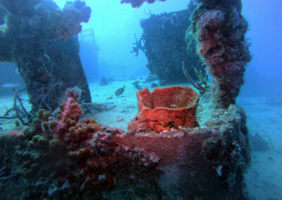 USS Spiegel Grove coral formation