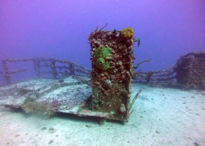 USS Spiegel Grove coral formation