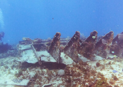 Divers at Key Largo